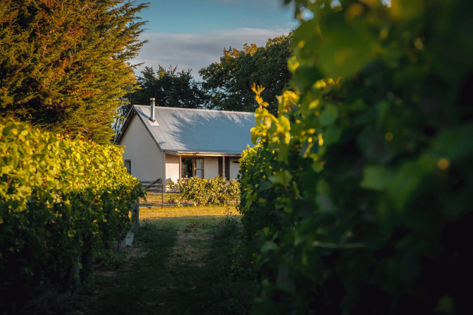 St Leonards Vineyard Cottages