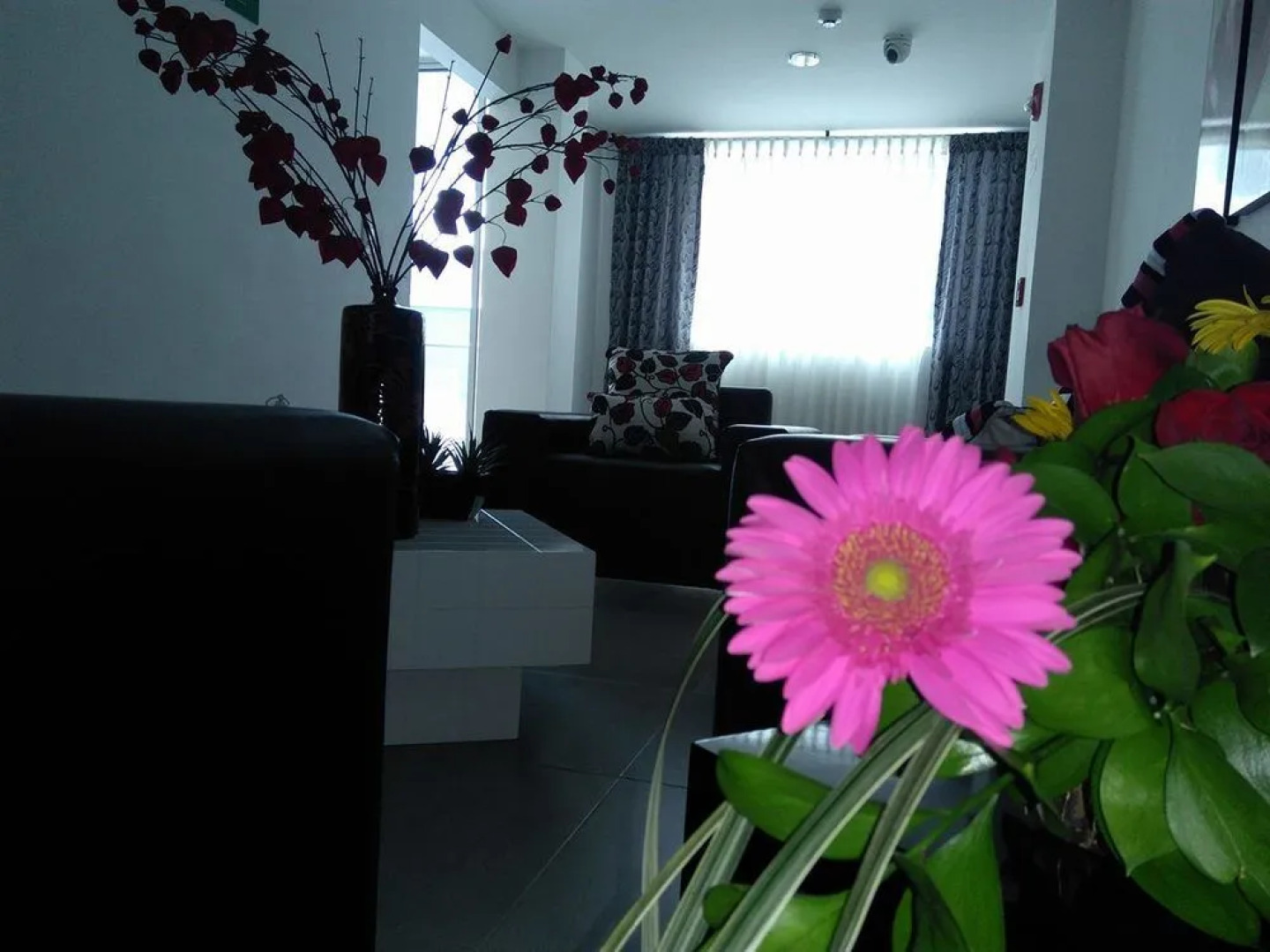 Hotel Guadalupe Plaza