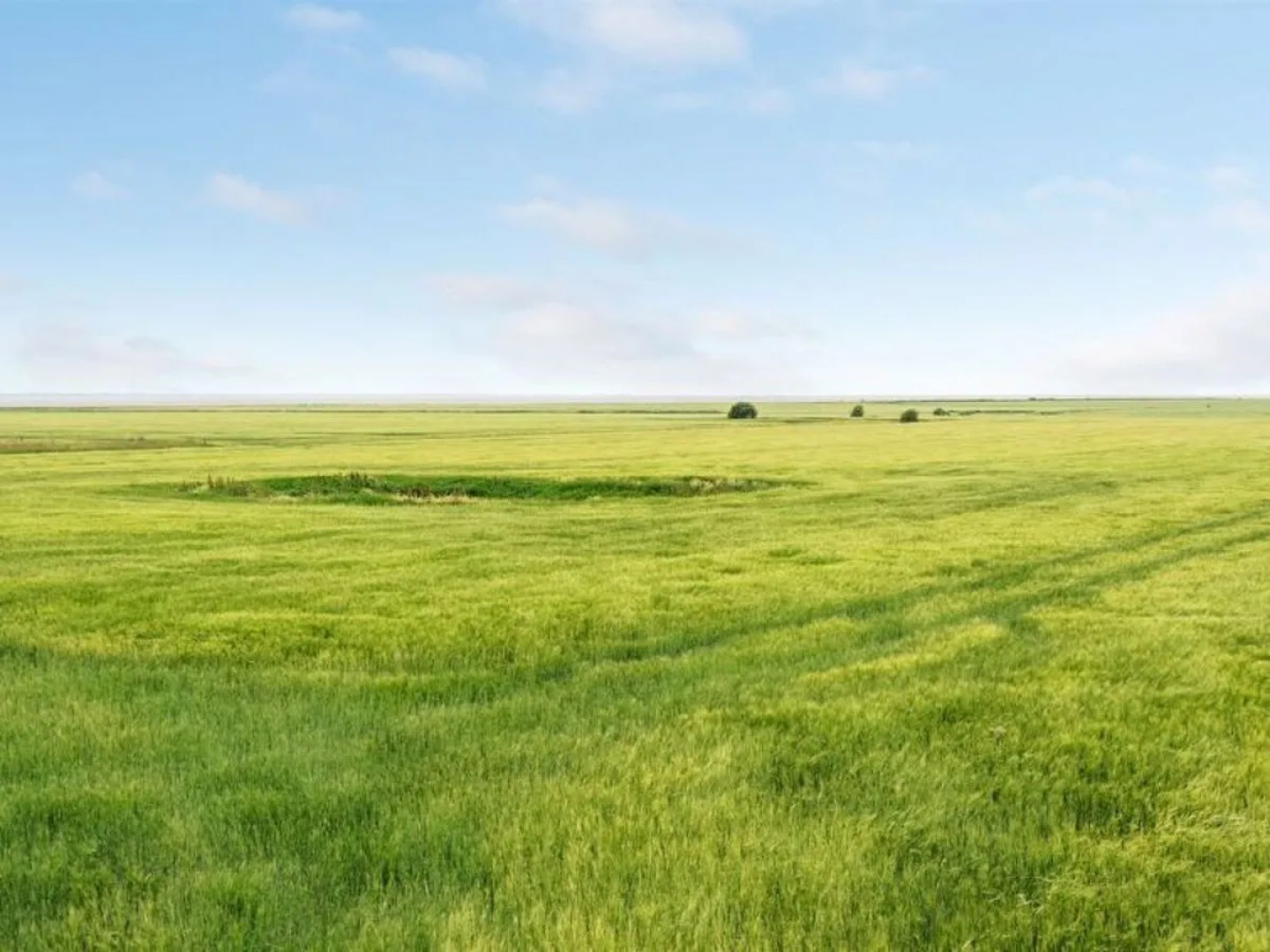 "Saga" in Western Jutland