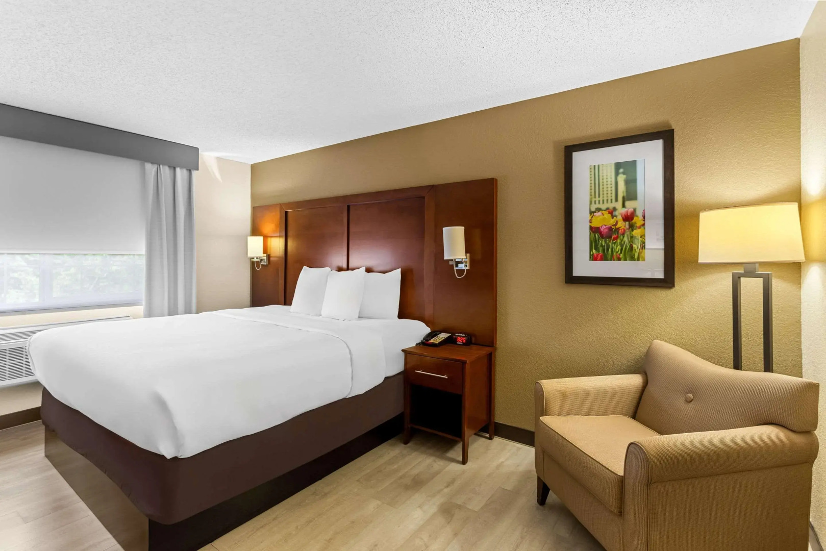 Comfort Suites Grayslake near Libertyville North