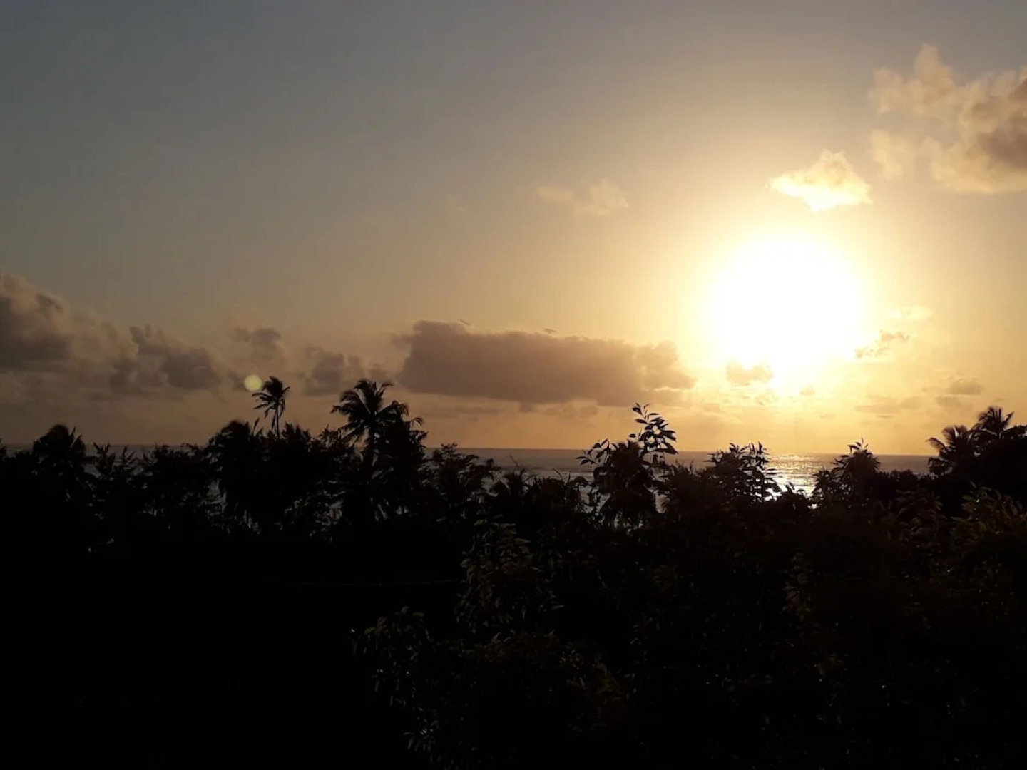 Naomi's Boutique Villa