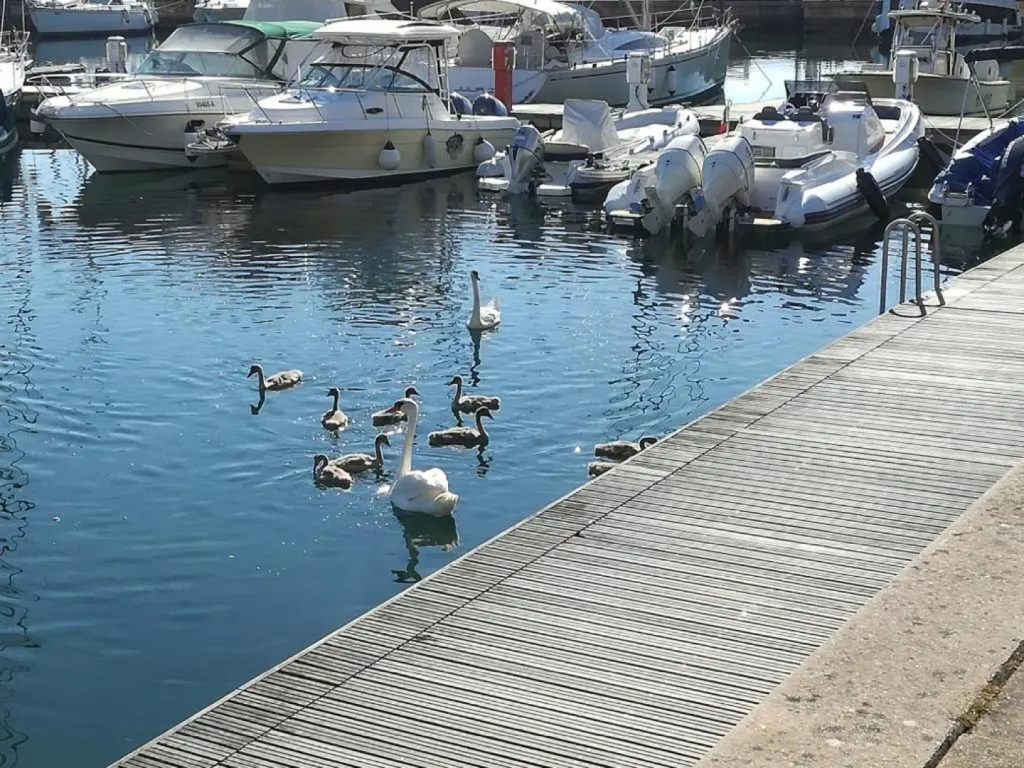 Tra Sole & Mare- grande attico panoramico, Sauna, 4 terrazze