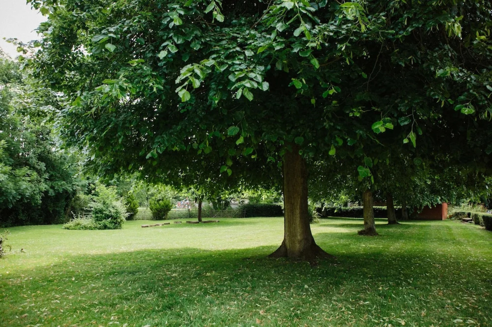 The Cluster @ The Queen - Caravan Park