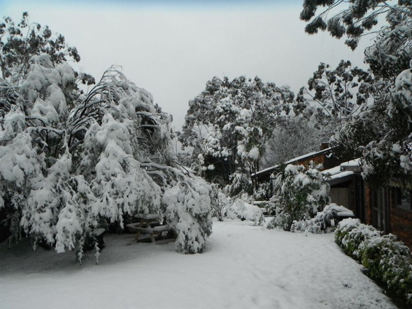 Apartamentos La Florida