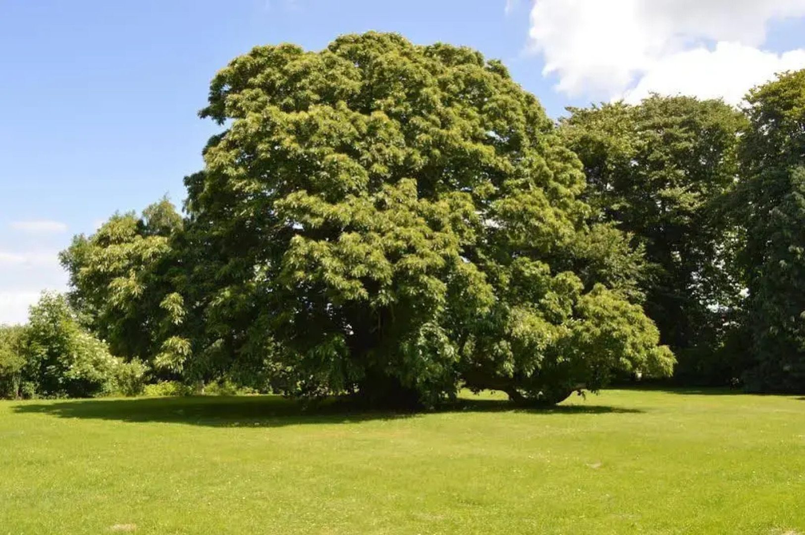 Skrøbelev Gods Manor House