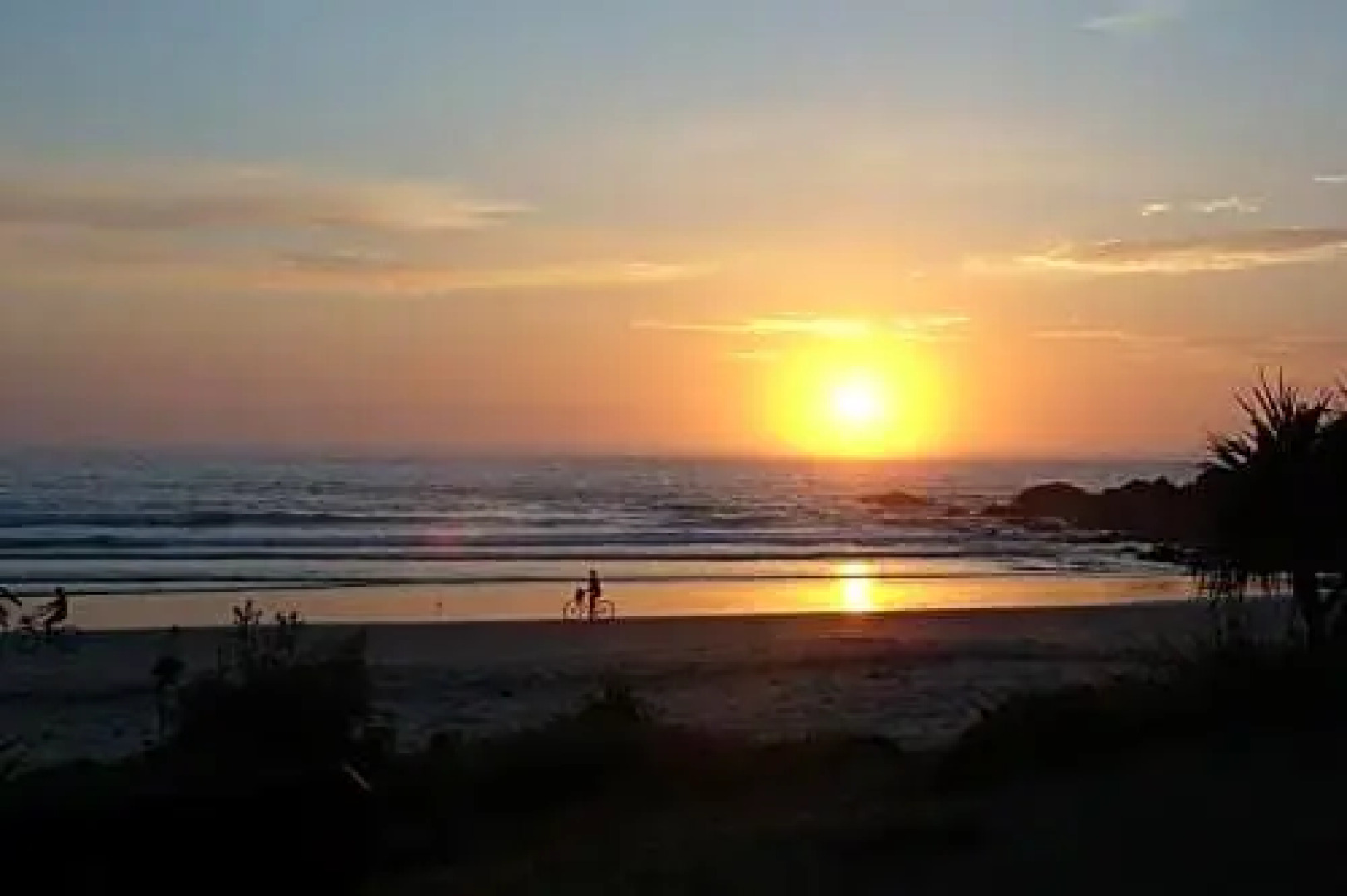 Emerald Tropical Palms B & B