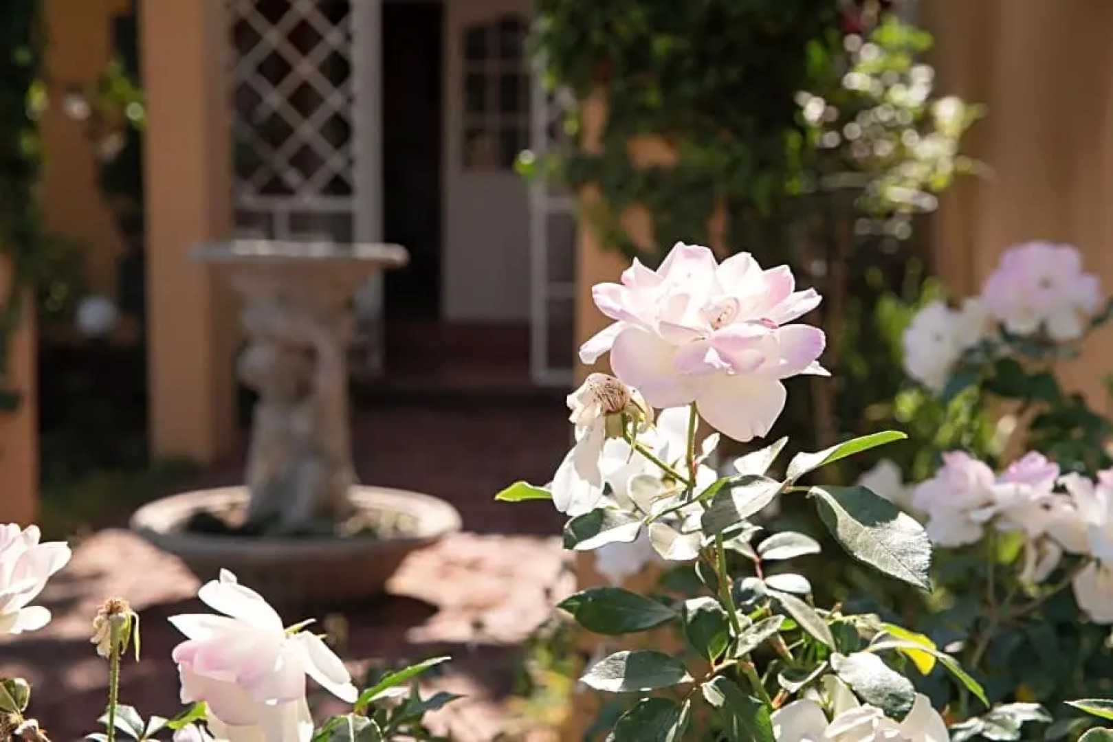 Roses And Pebbles B & B Guest House