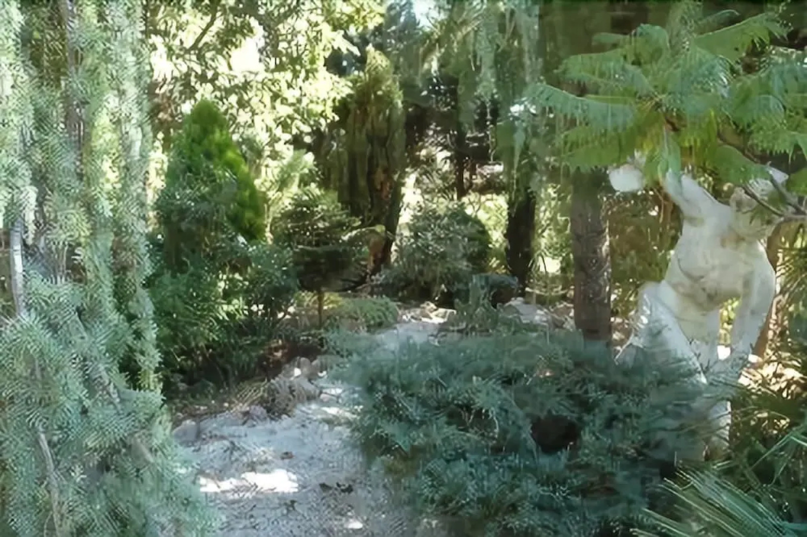 Antico Borgo Assisi B&B