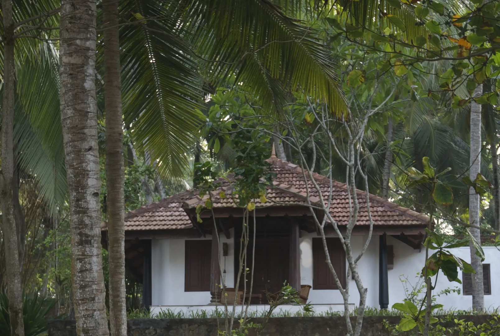 Niraamaya Surya Samudra