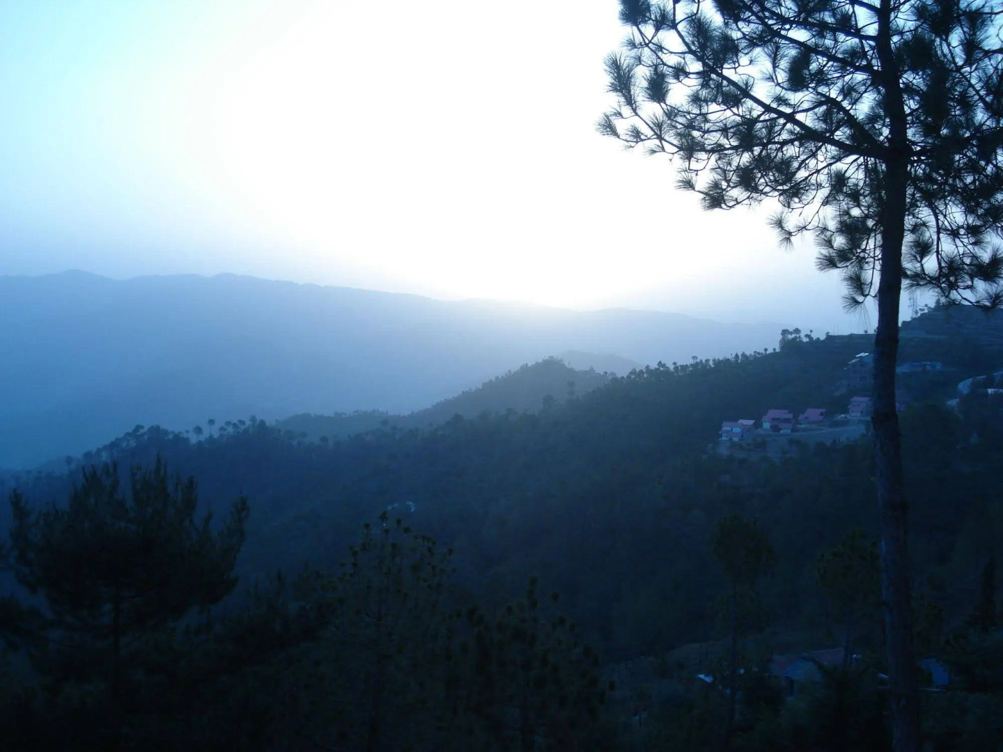 Woodsvilla Residency Ranikhet