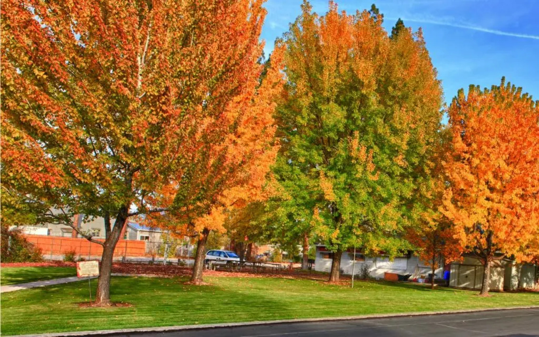 Shasta Pines Motel & Suites