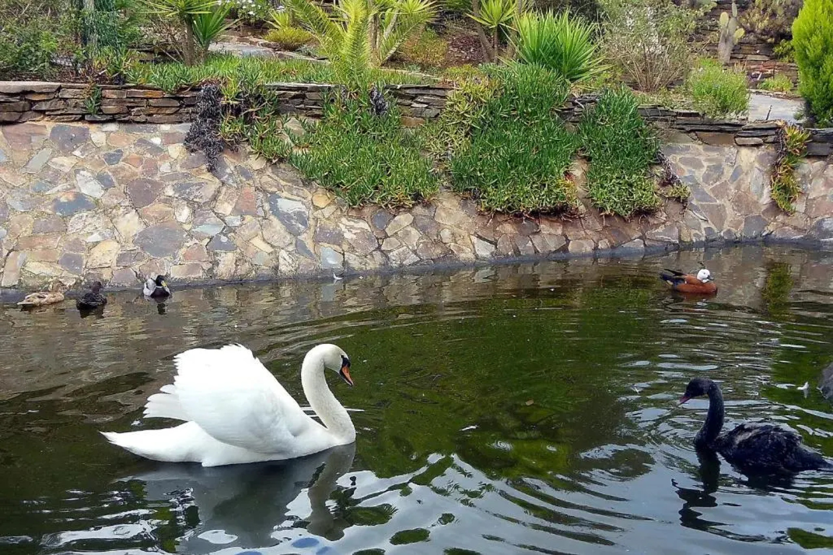 Salgadinho Casa de Campo & Selao da Eira Velha