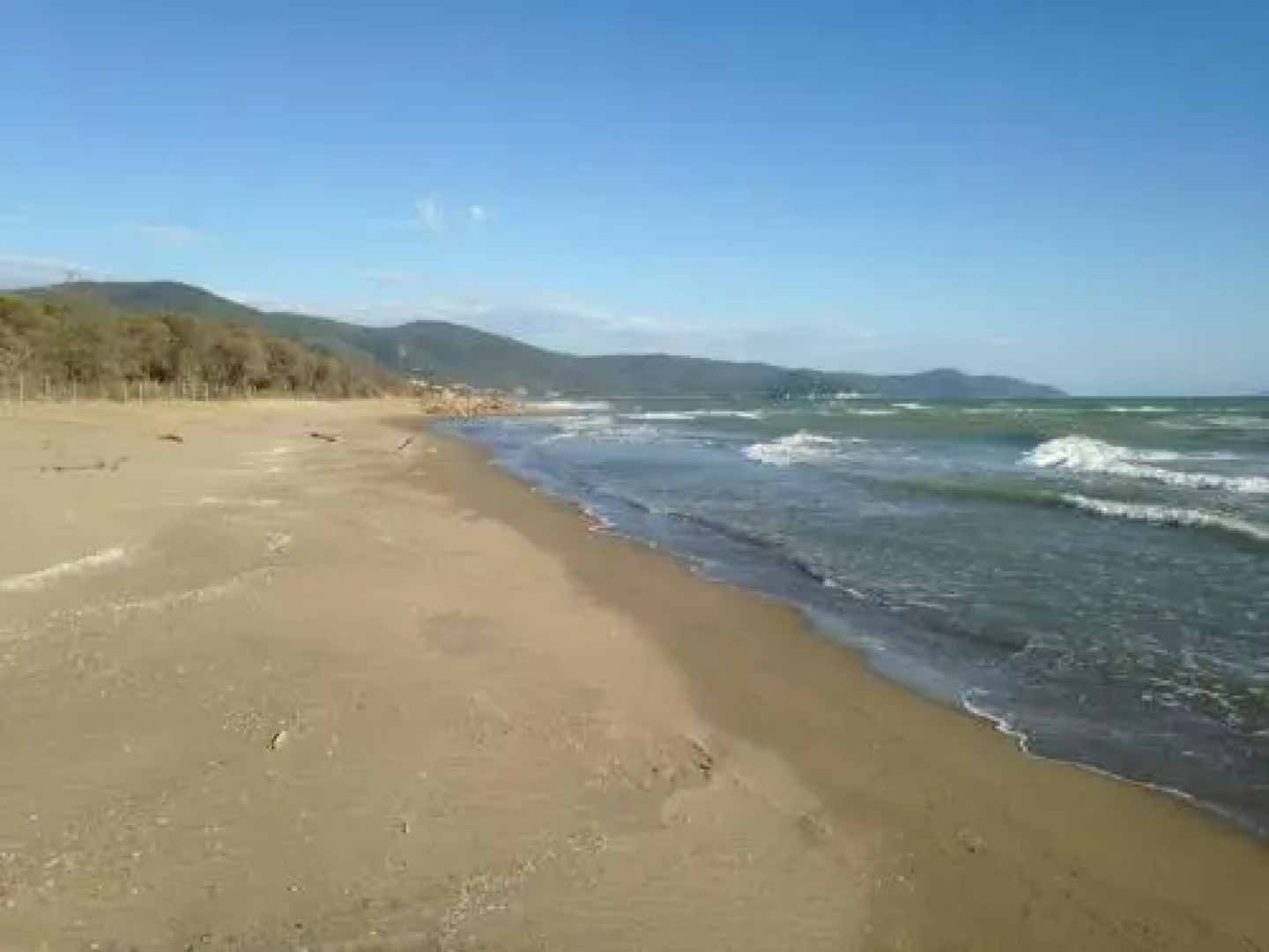 Fattoria il Duchesco