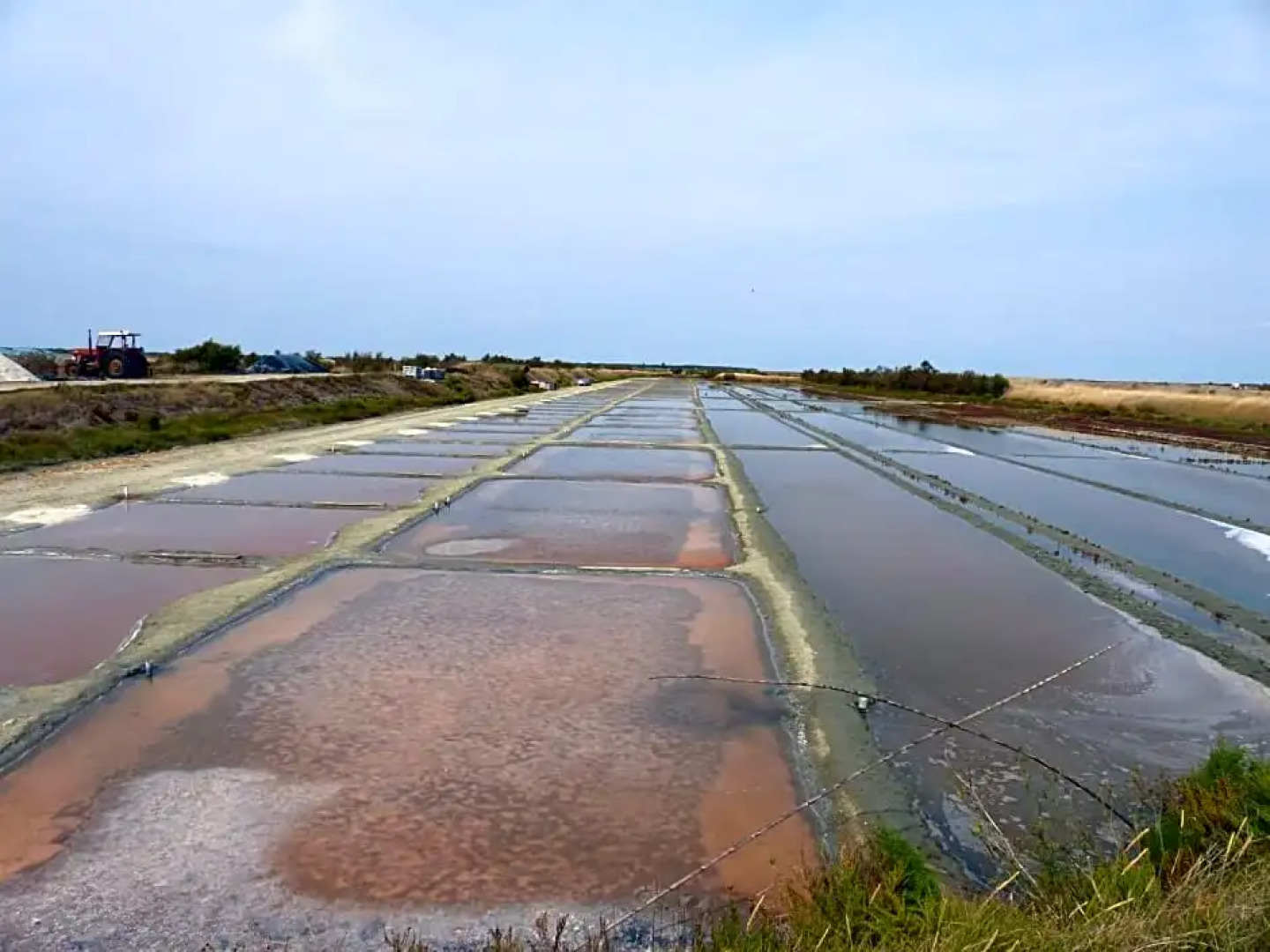 Maison d’hôtes Les Ajoncs