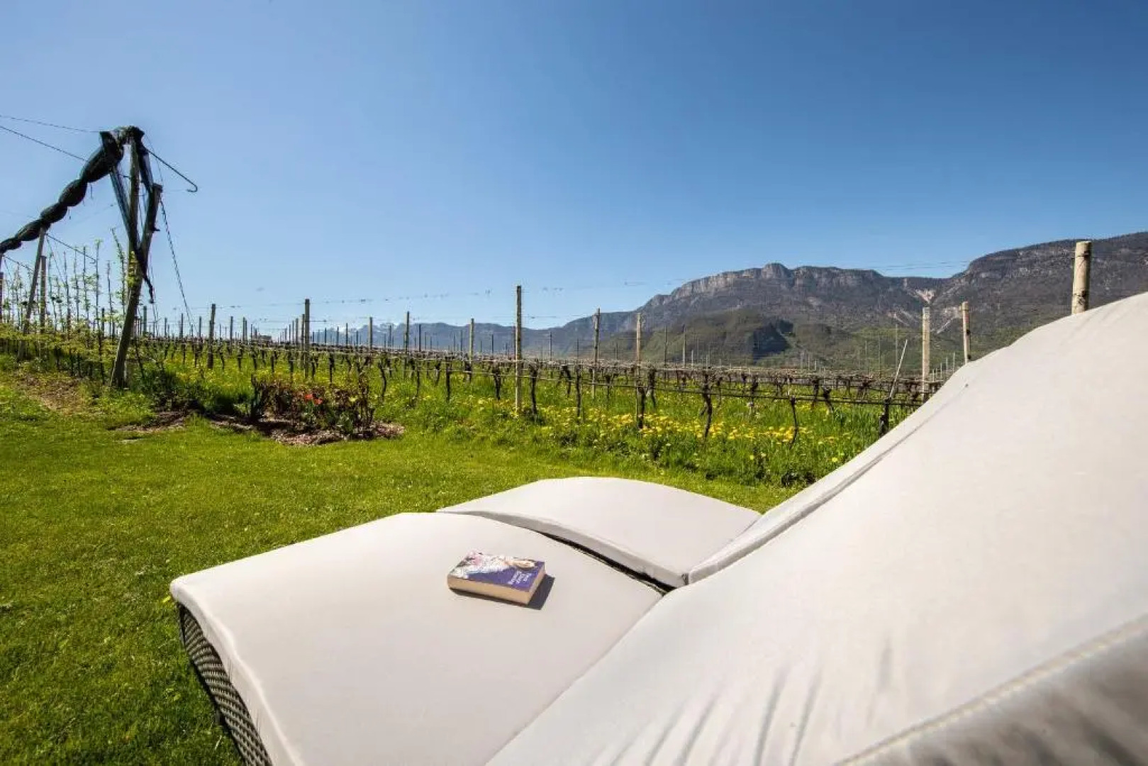 Apartments Weisshauserhof