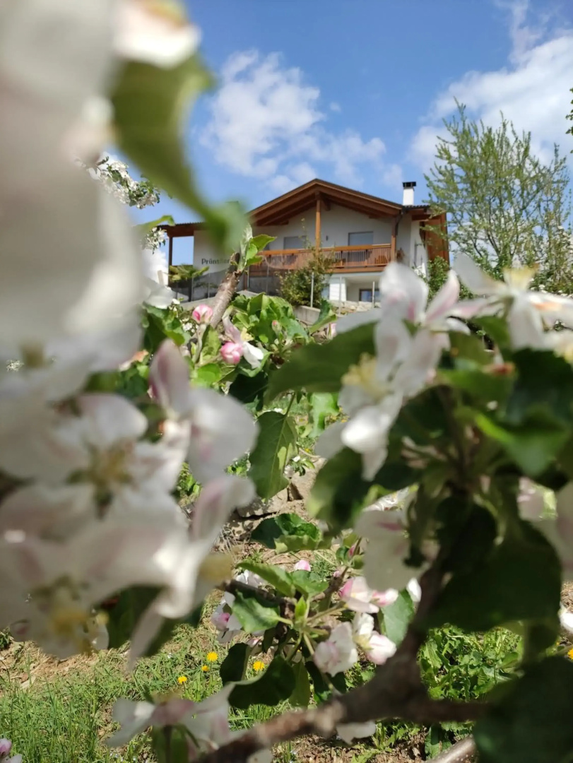 Prünsterhof Schenna