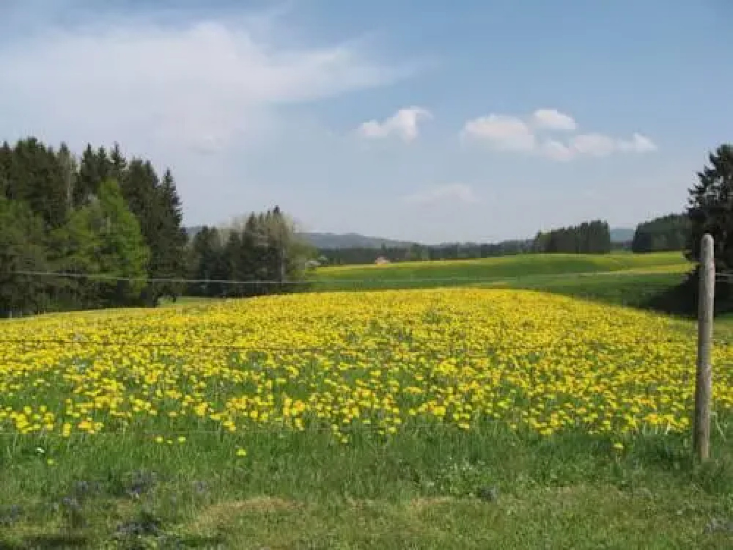 Ferienwohnung Hörger