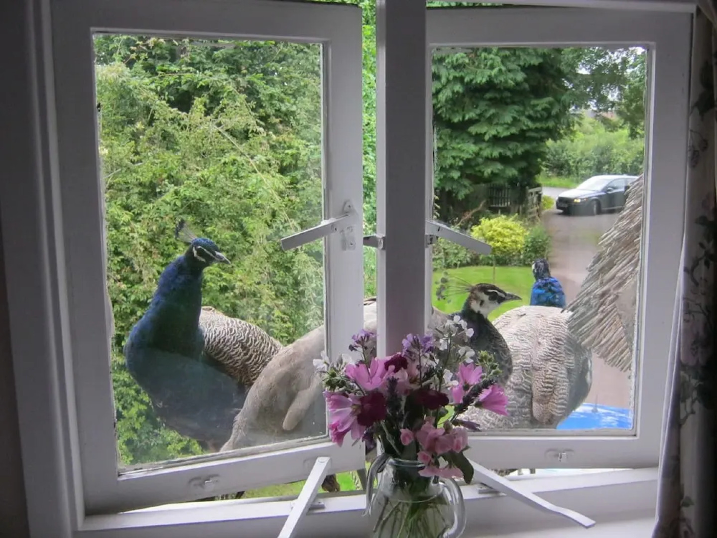 The Moats Bed and Breakfast