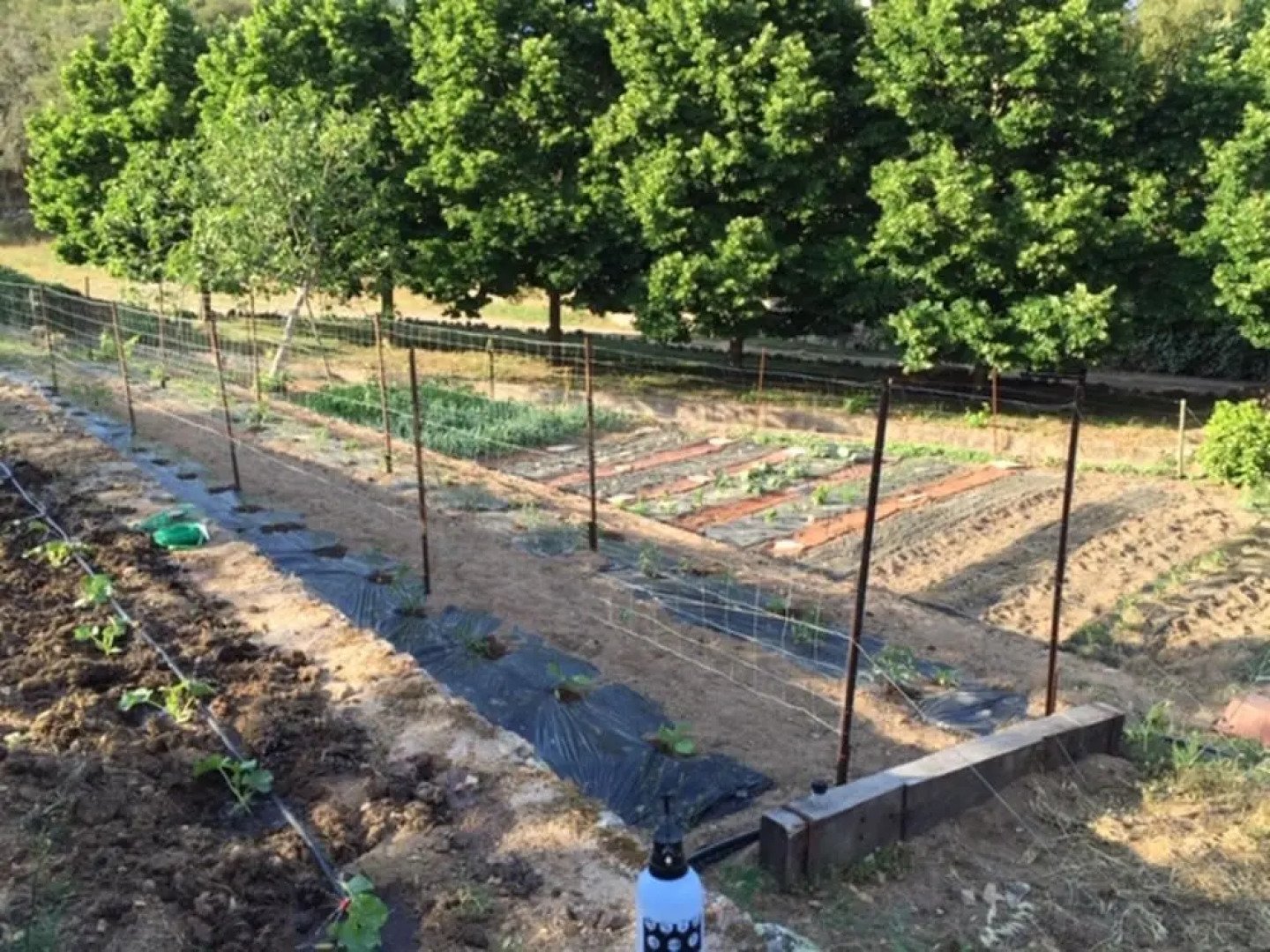 Apartment With 2 Bedrooms in Moltifao, With Wonderful Mountain View, Furnished Garden and Wifi - 20 km From the Slopes