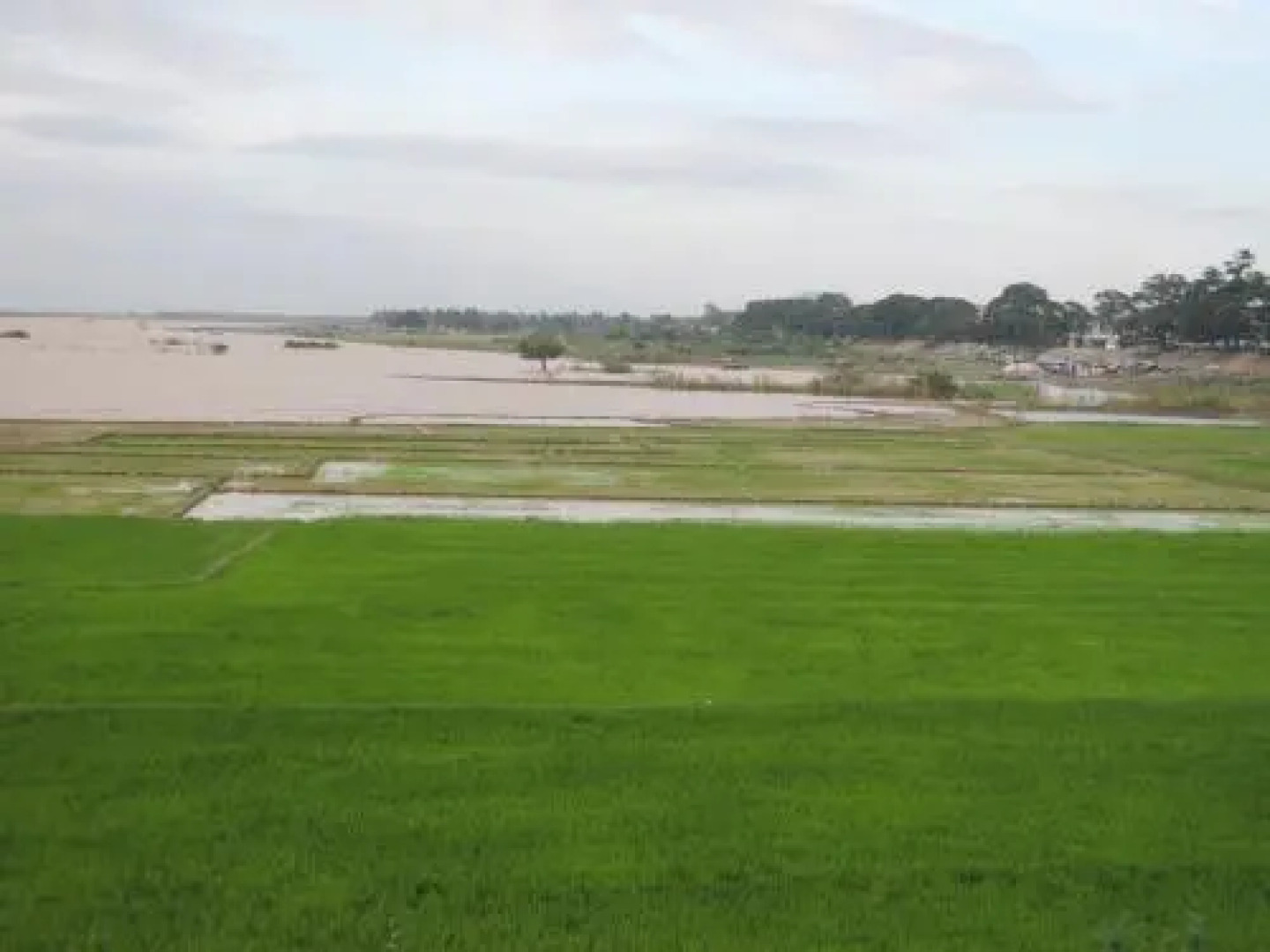 Roeung Loeung Mittapheap Restaurant & Hotel