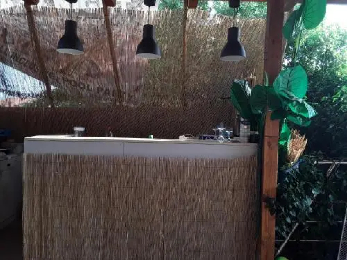 Guesthouse Crazy Night