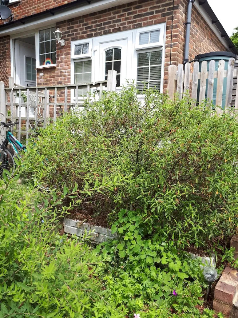 1 Bed Flat - Sleeps 2 - Pets - Garden - Parking