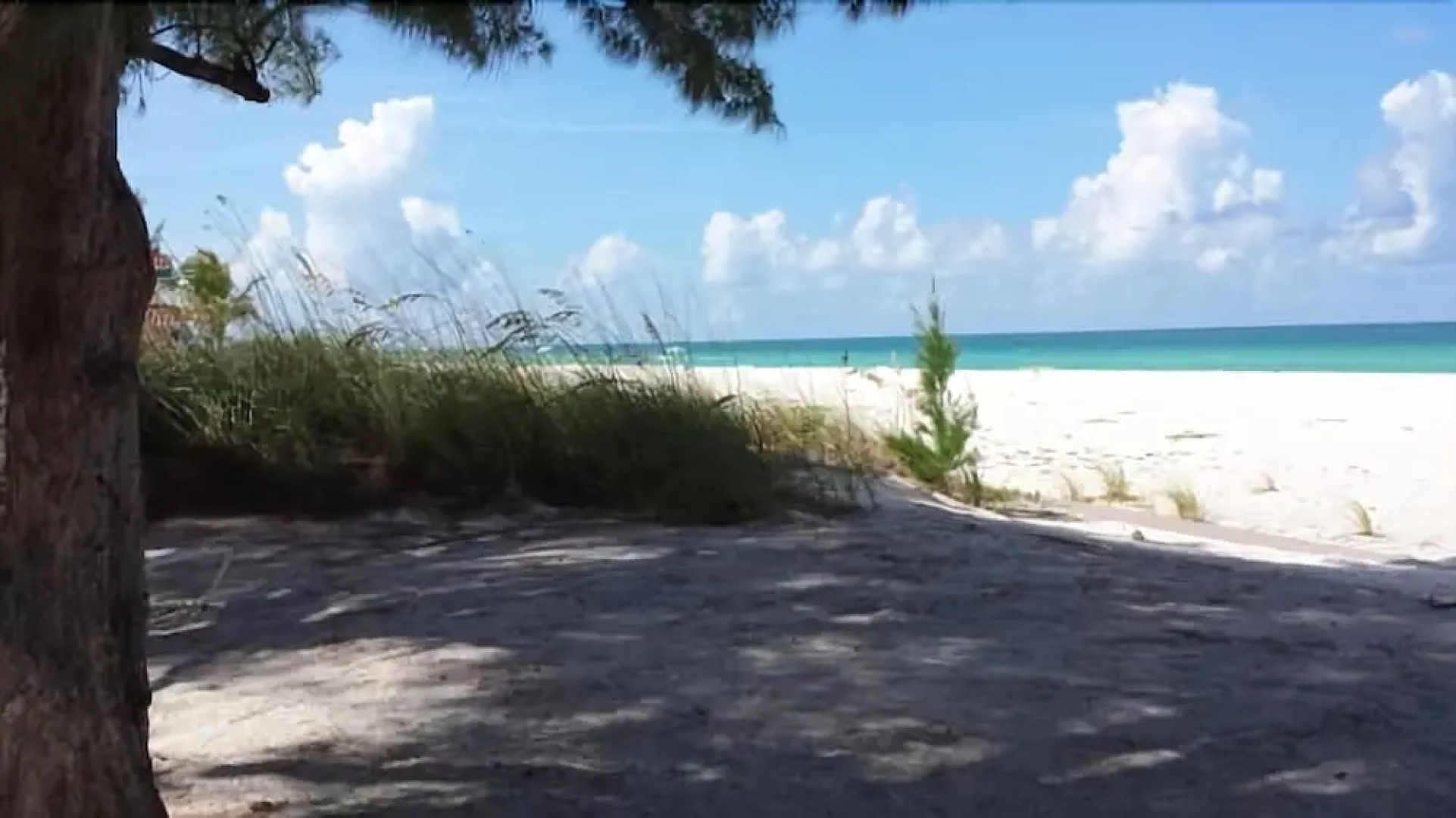 3 Pines Cottage by Wagner Realty