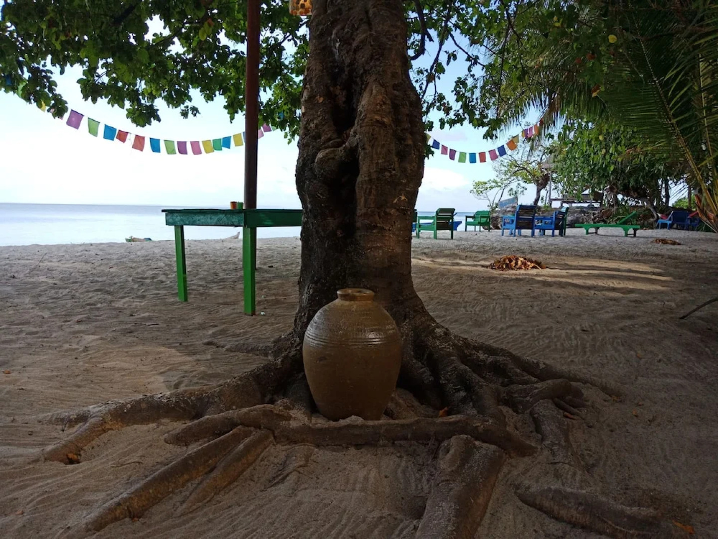 Hoga Island Dive Resort Wakatobi