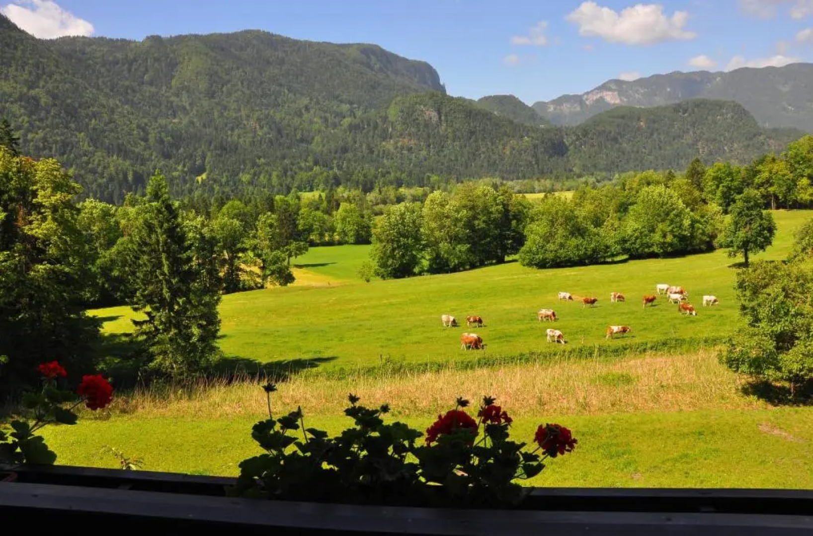 Nature Hotel Lukanc Bled