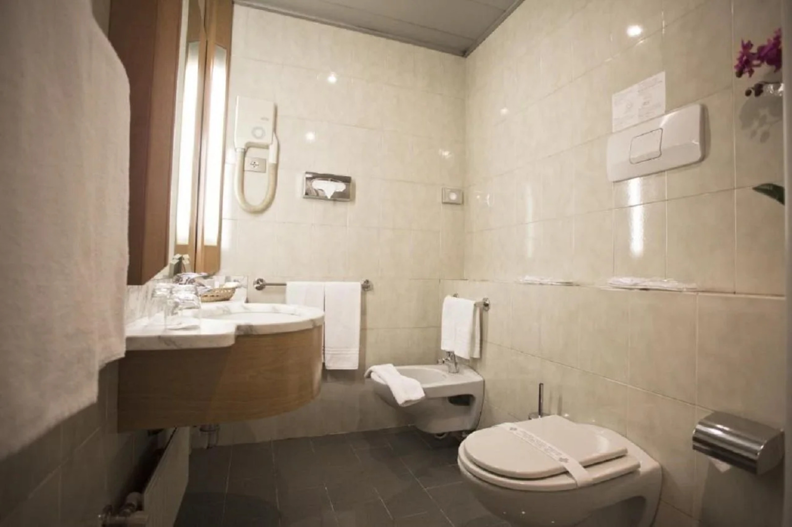 Отель Diplomatic