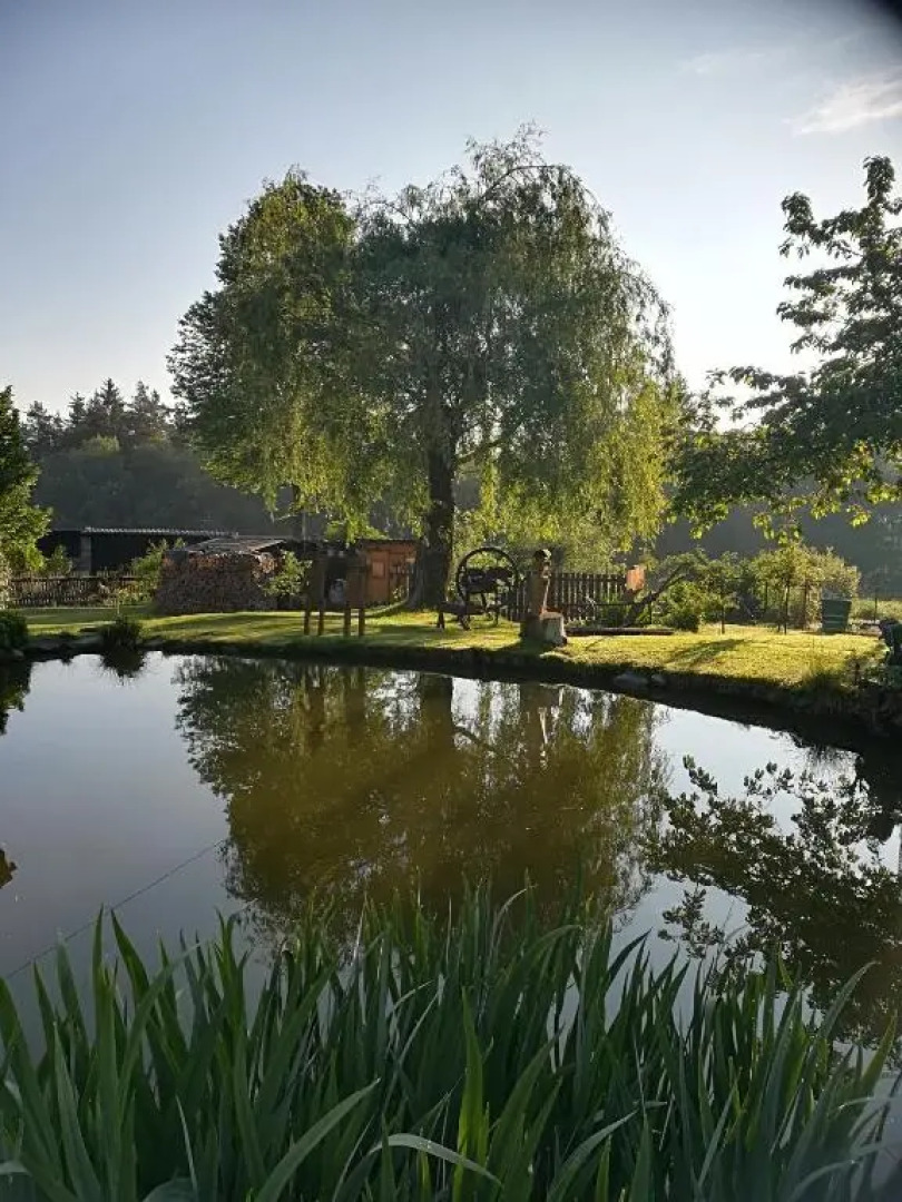 Apartmán Dvorečná