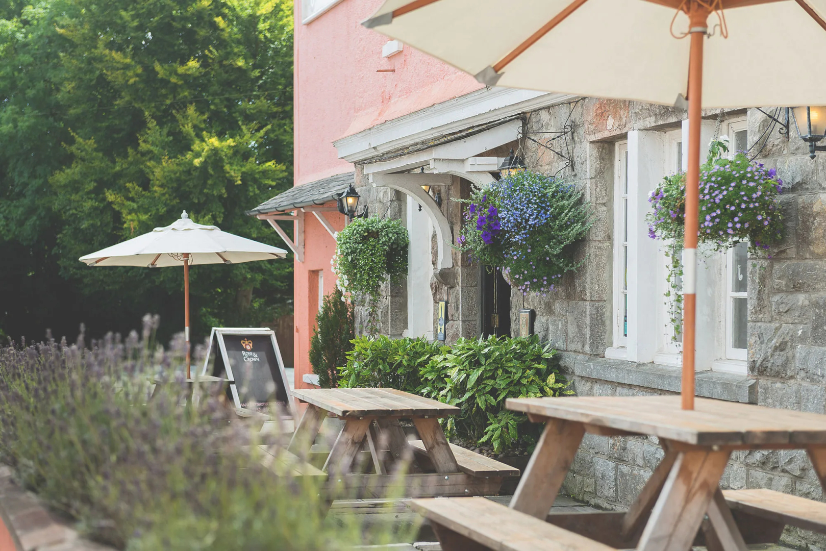 Rose & Crown