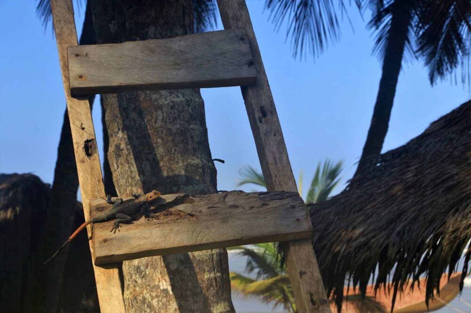 Beyin Eco Beach Camp