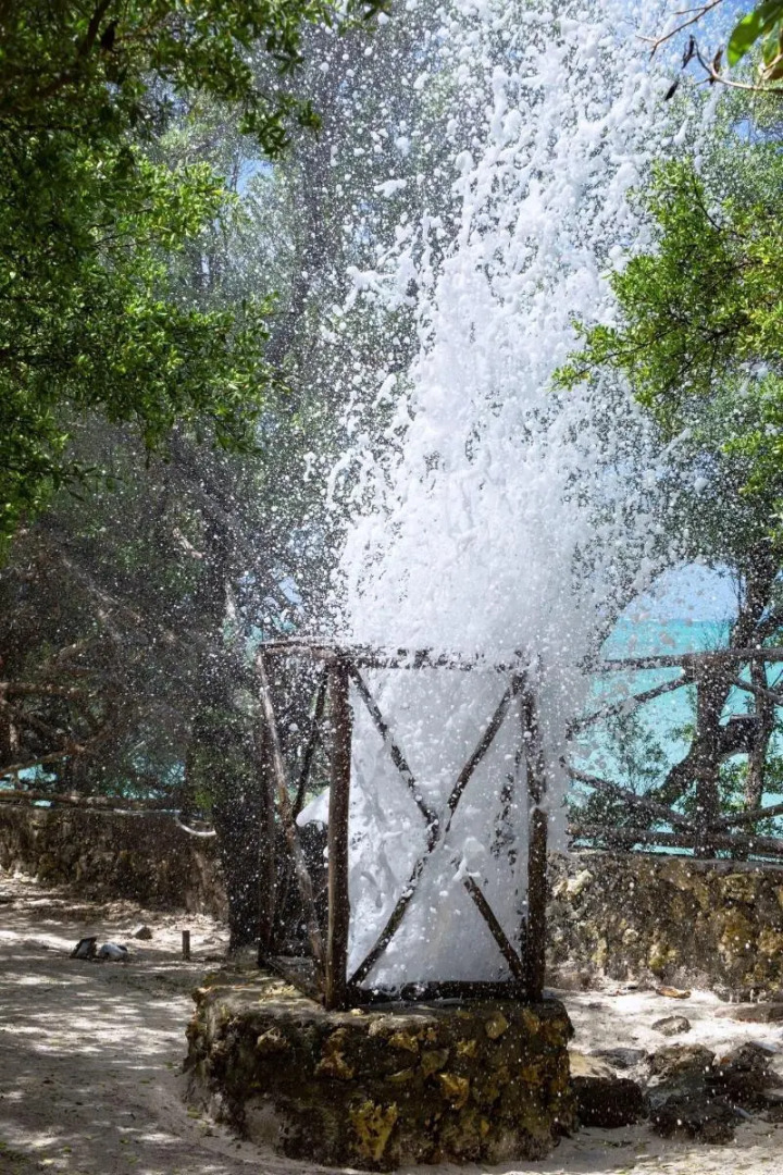 The Island - Pongwe Lodge - Adults Only