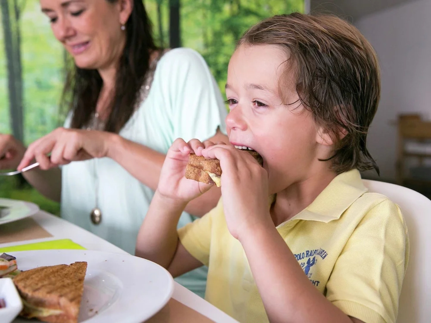 Modern villa with deco fireplace and dishwasher in De Veluwe