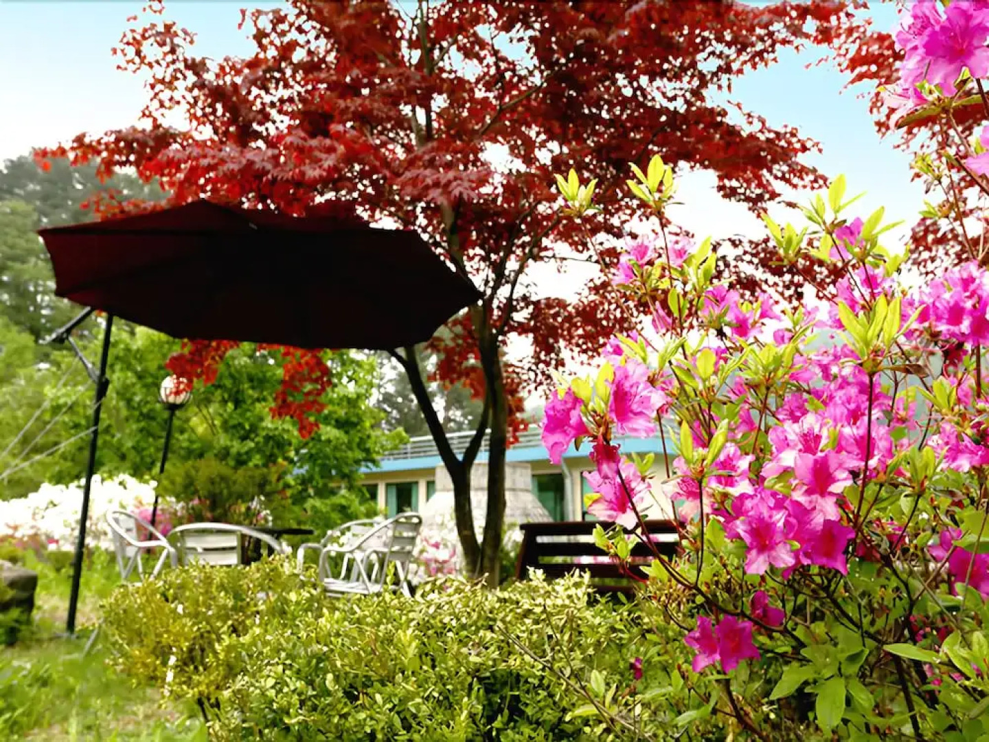 Pyeongchang Greenhill Resort