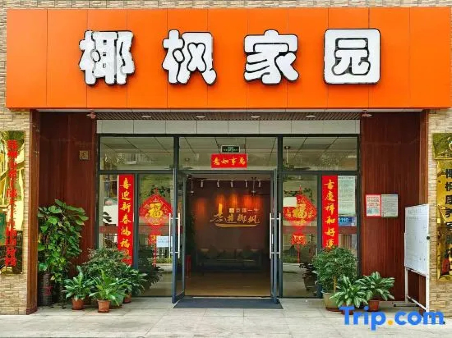 Coconut Maple Home Apartment