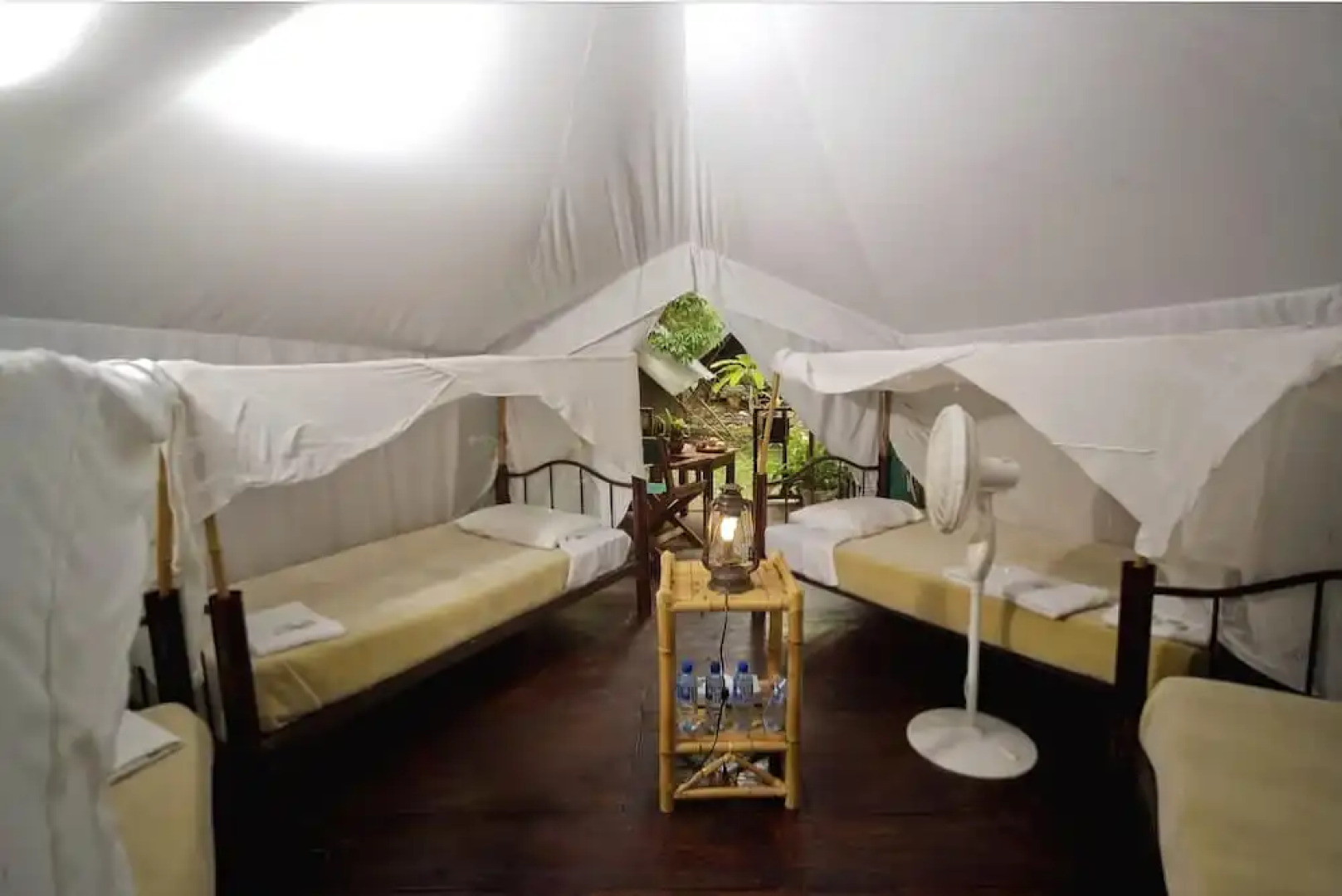 Aventurero Veracruzano