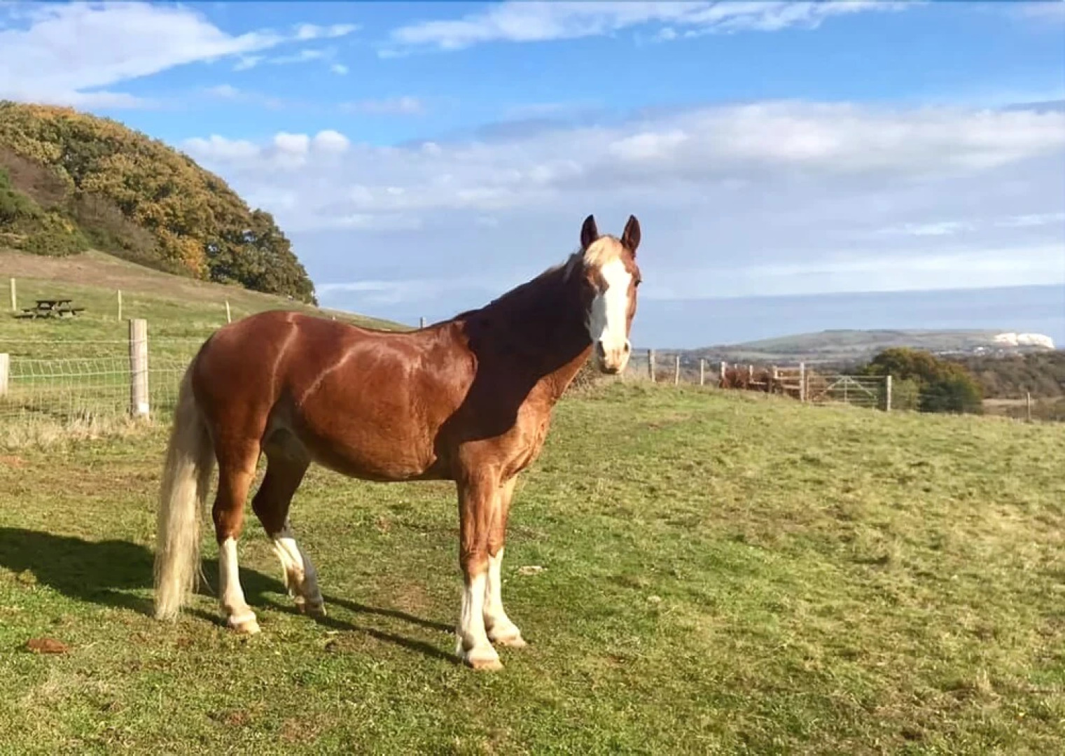 Queen Bower Farm Lodge