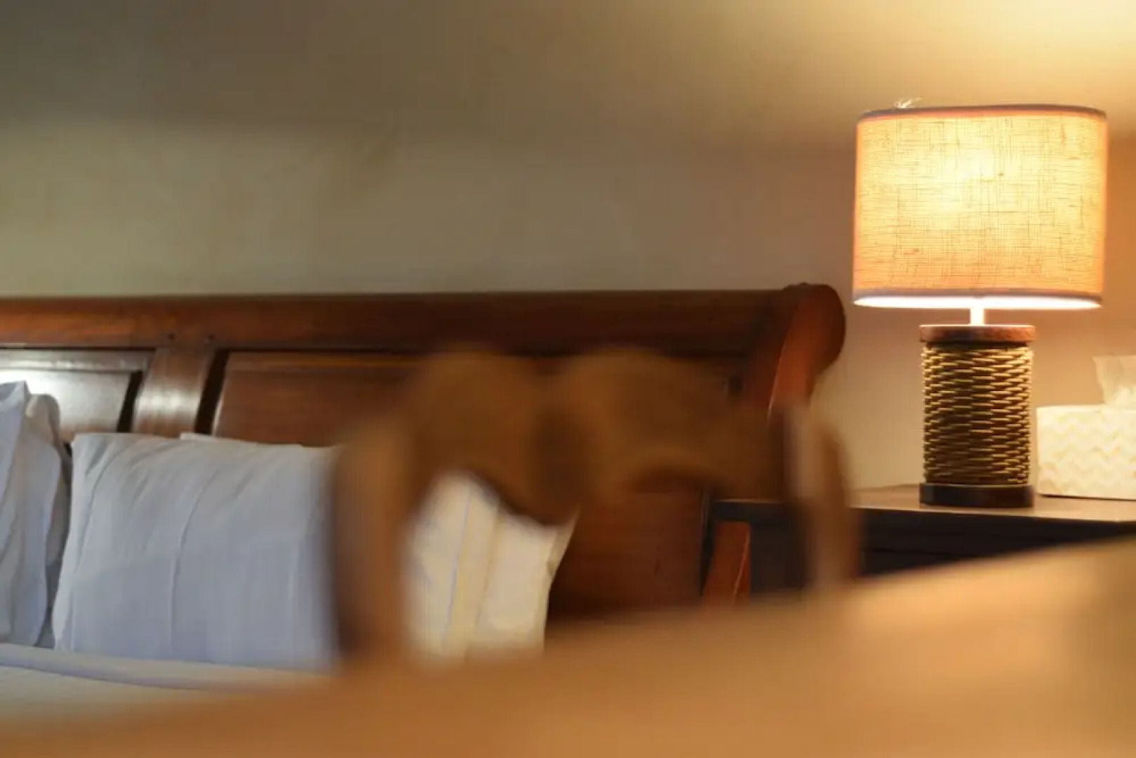 Brockman Park Estate