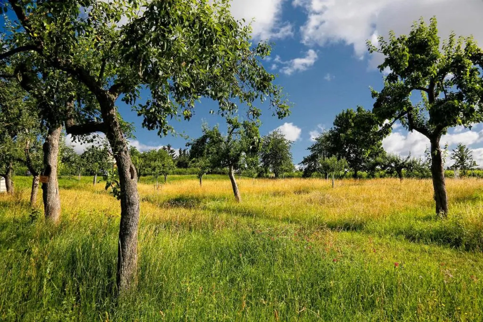 Konsumhotel Dorotheenhof Weimar