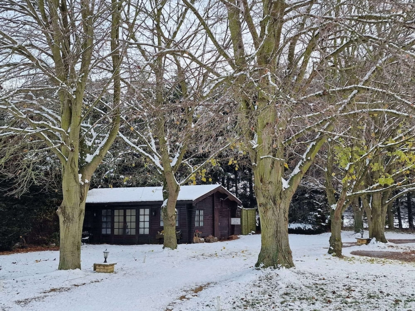 Reed By Paymán Club