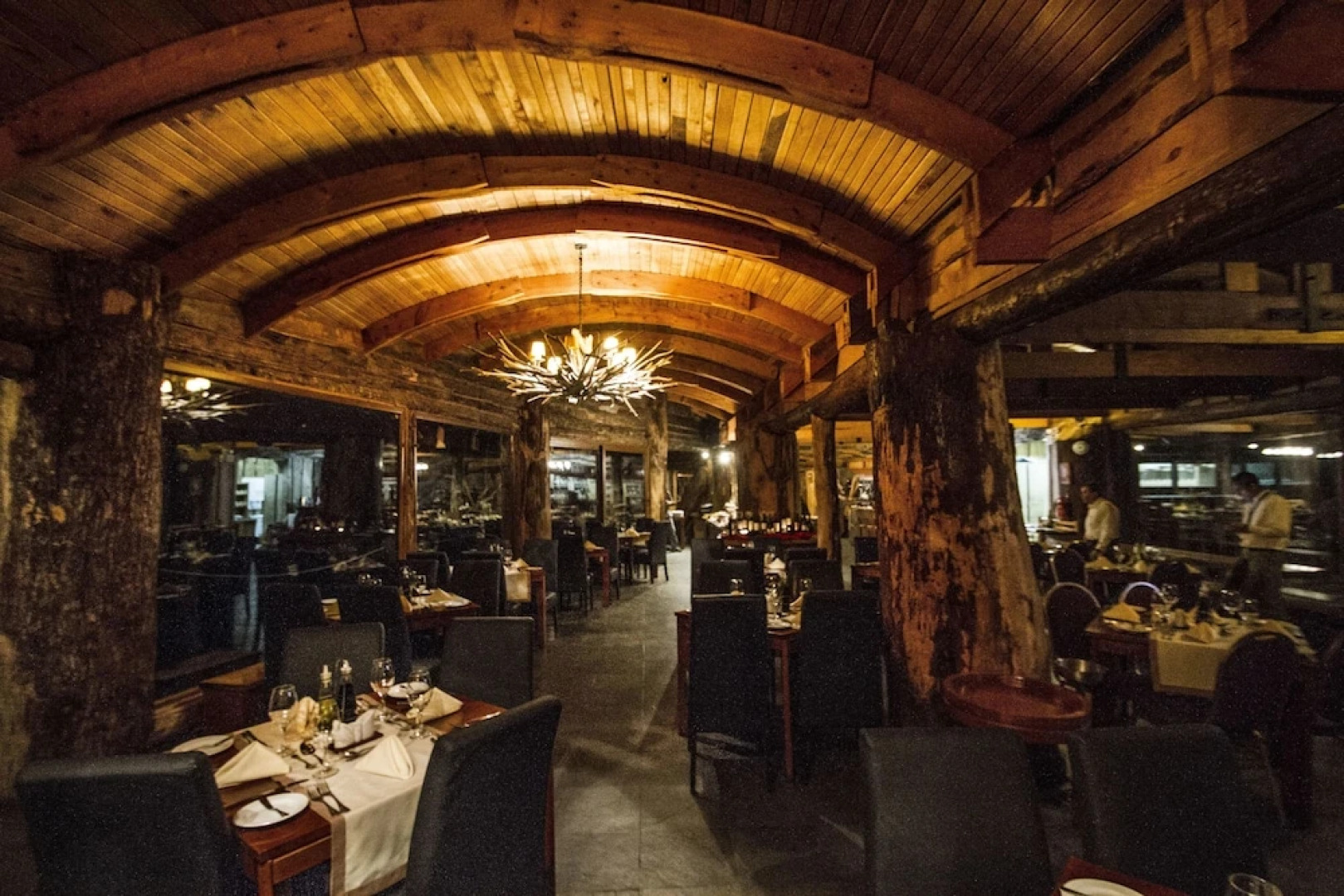 Huilo Huilo Reino Fungi