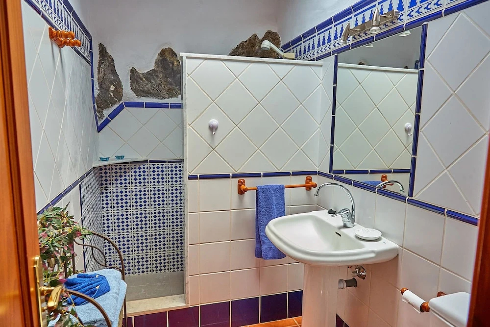Luxury Las Viñas 1