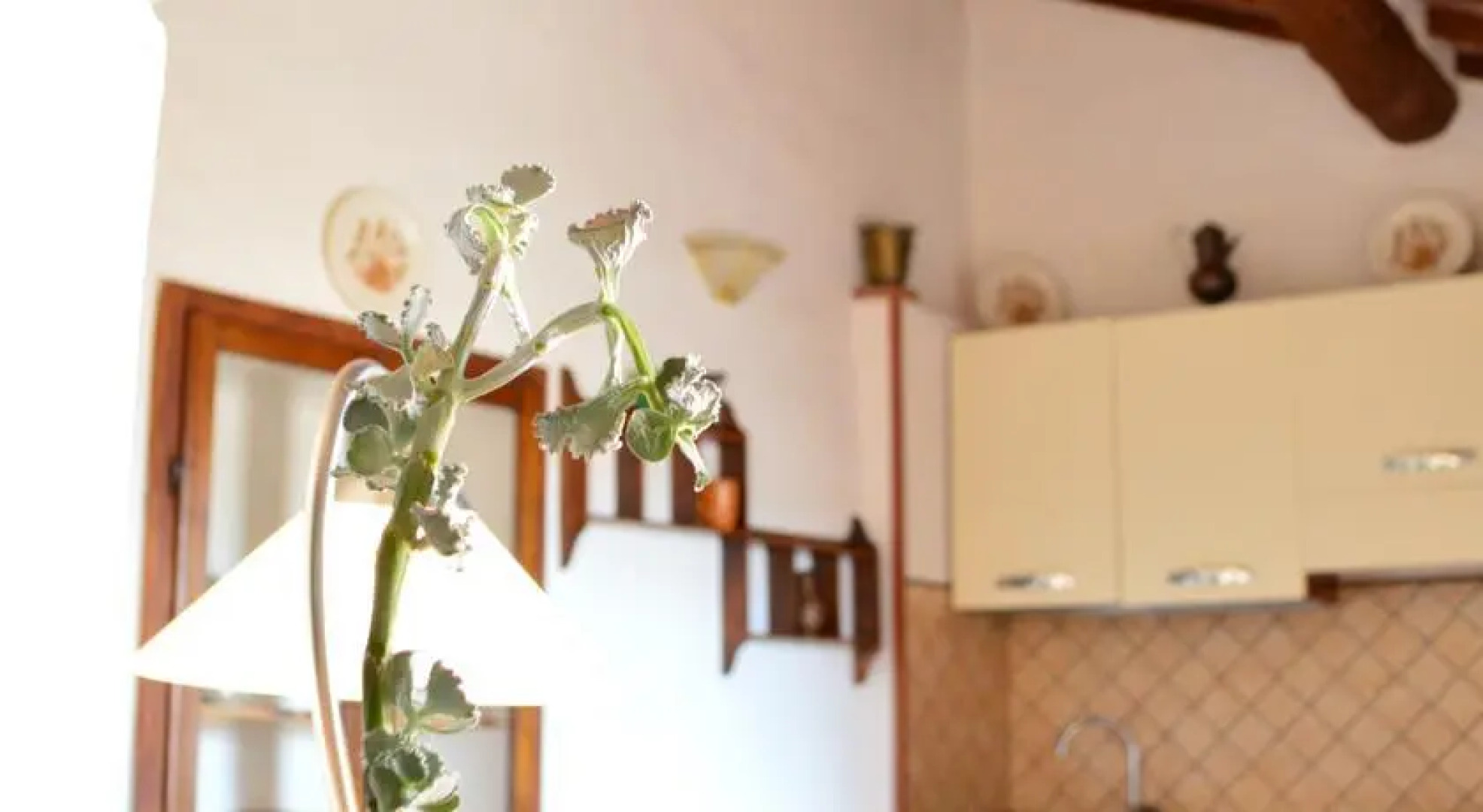 The Little Arch of Memory