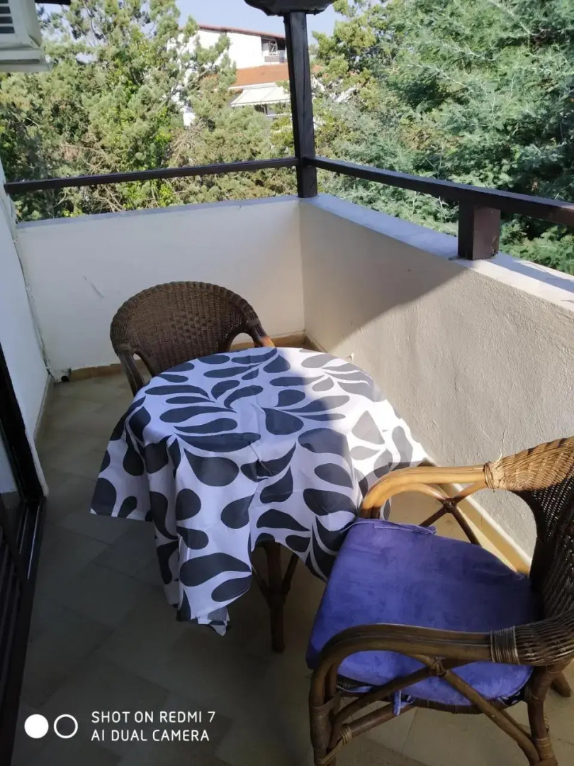 Penny's Holiday Studio