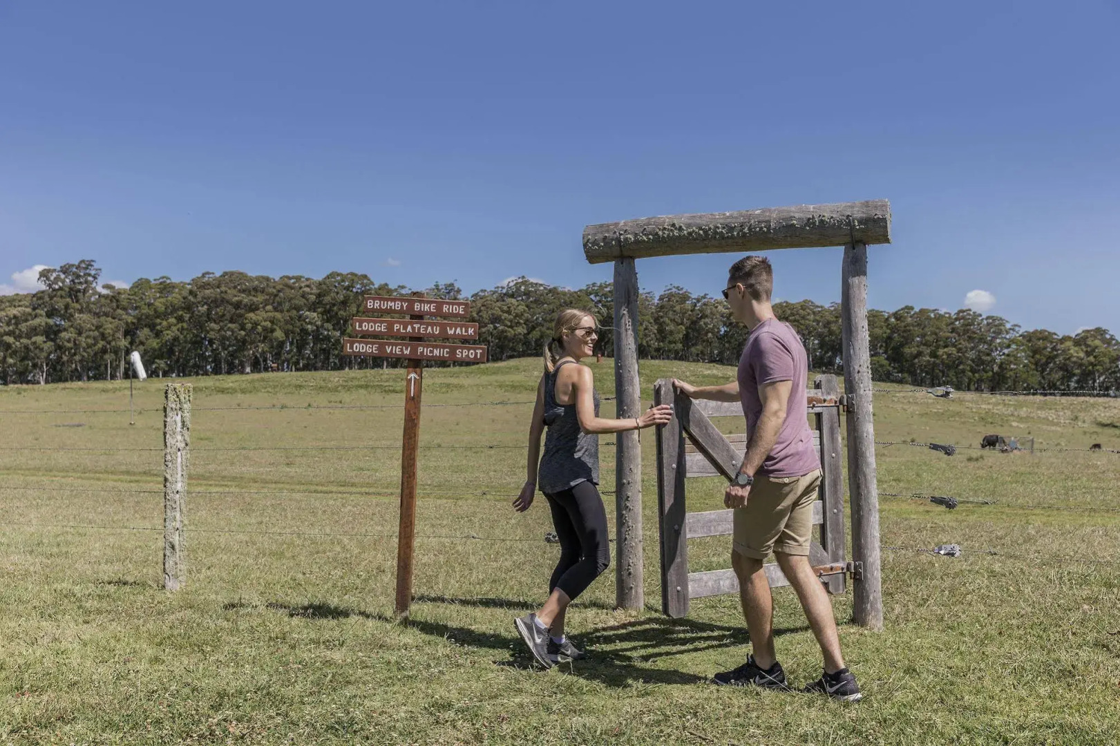Spicers Peak Lodge