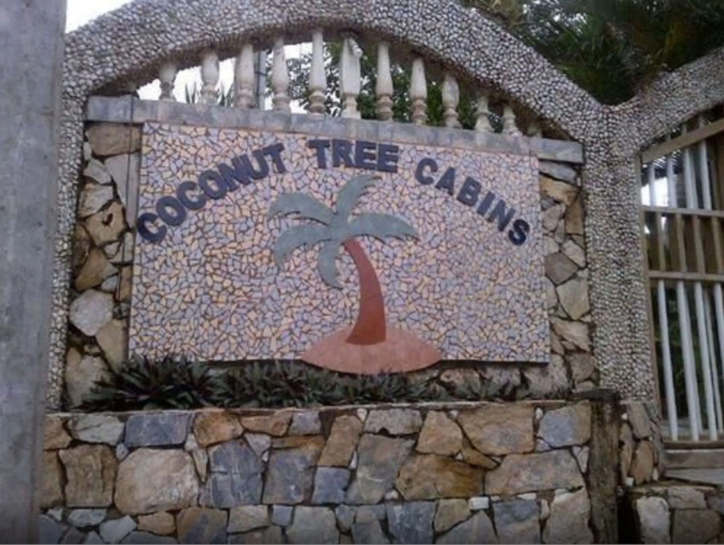 Coconut Tree West Bay