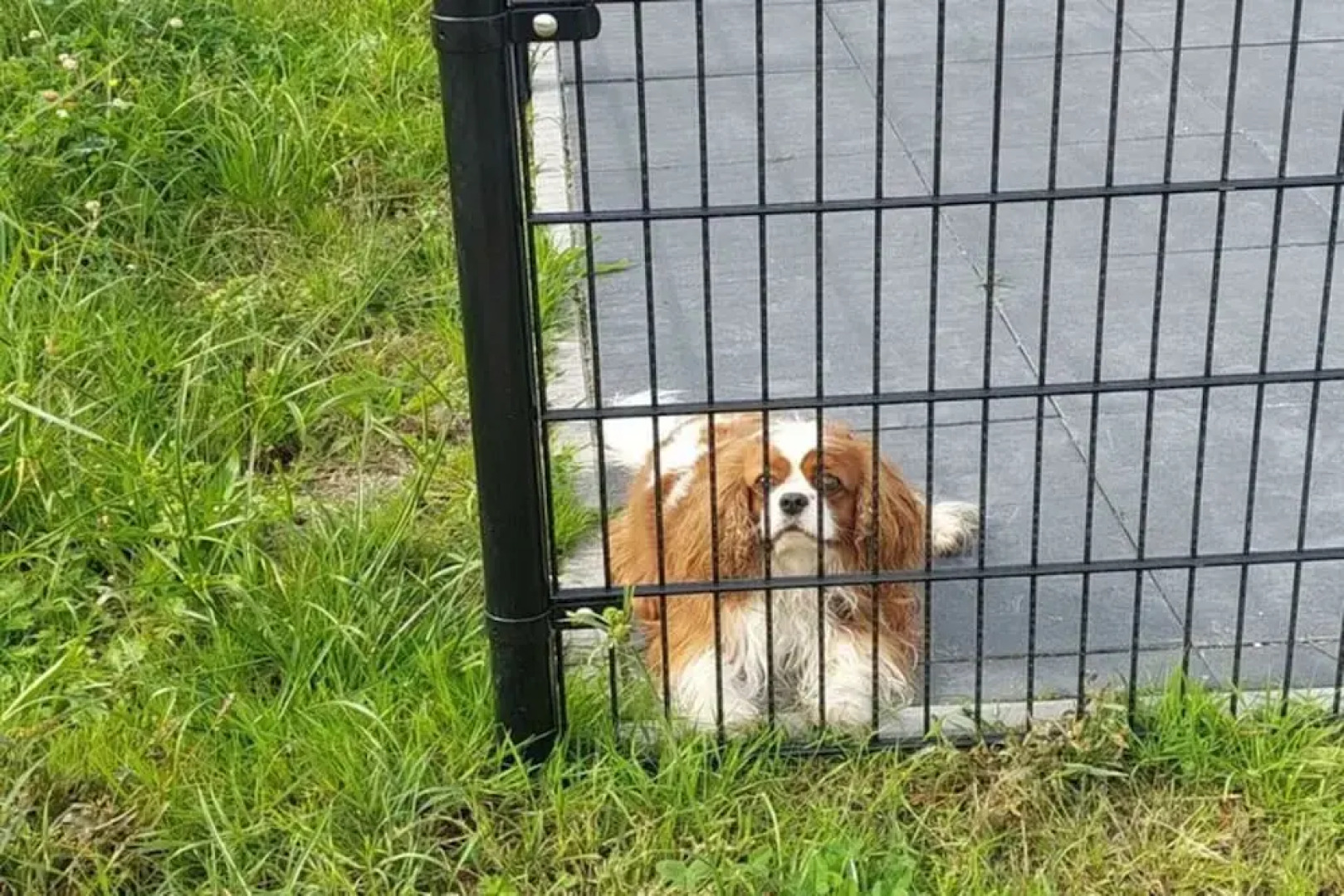 Holiday Home in Molenschot Near Nature Reserves