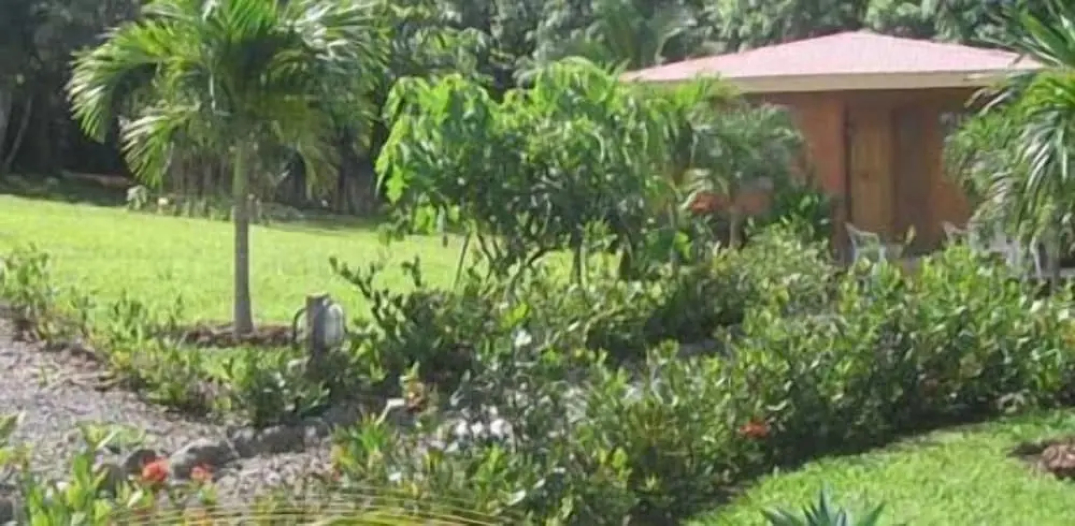 Villas Solania